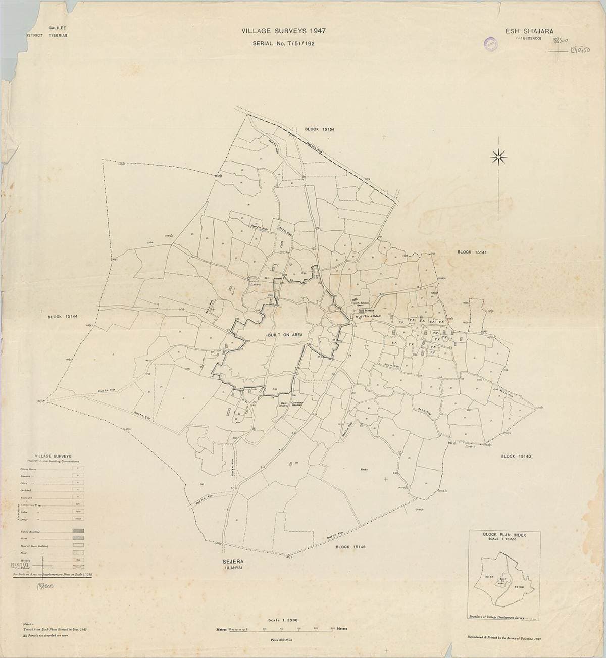 al-Shajara, 1947