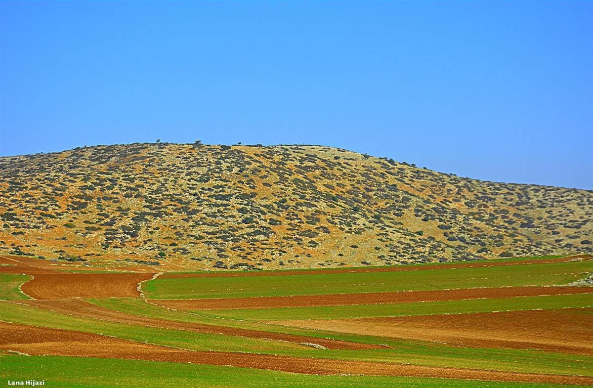 Fields near Bardala
