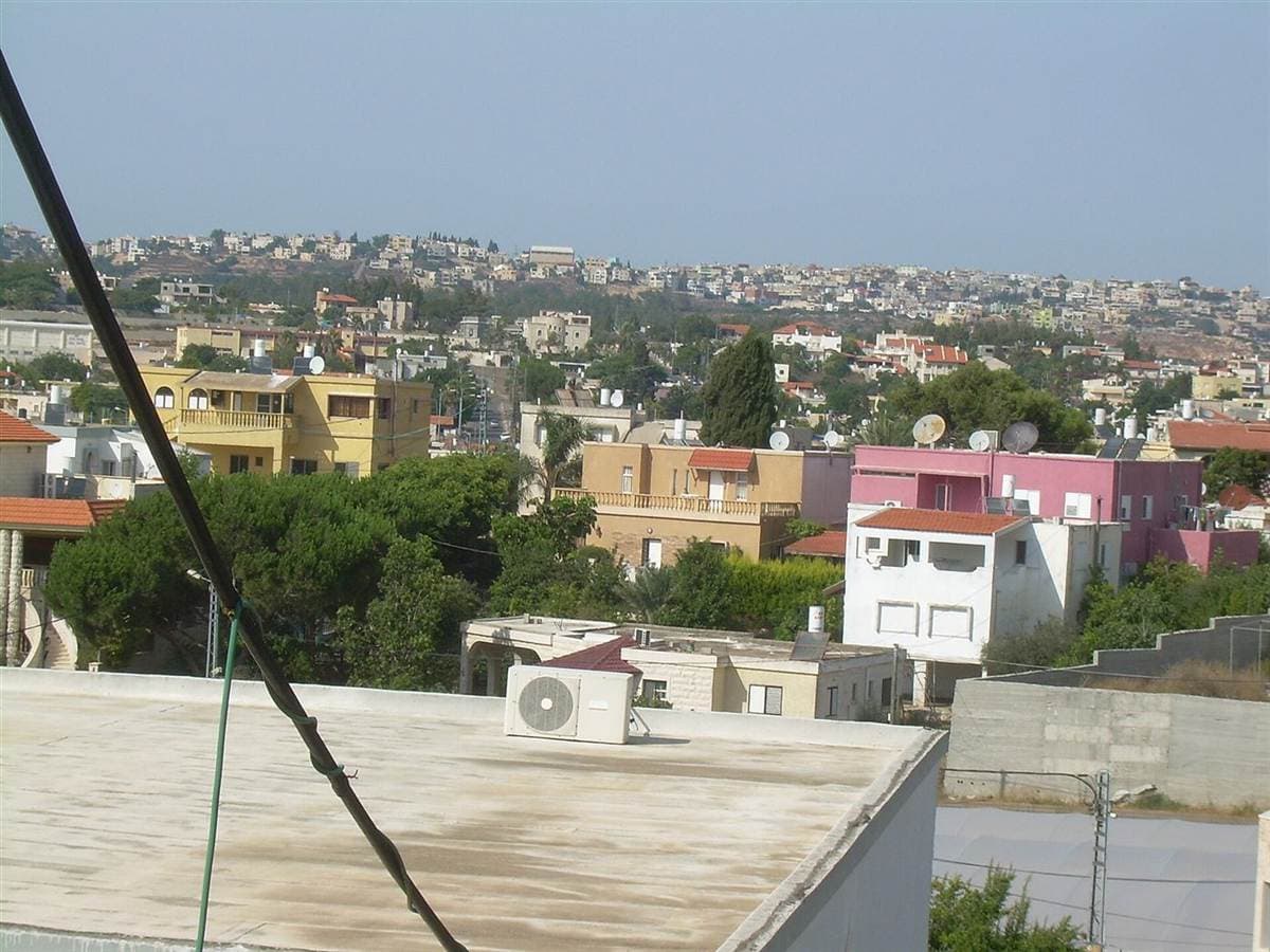 A view over Daliyat al-Karmel