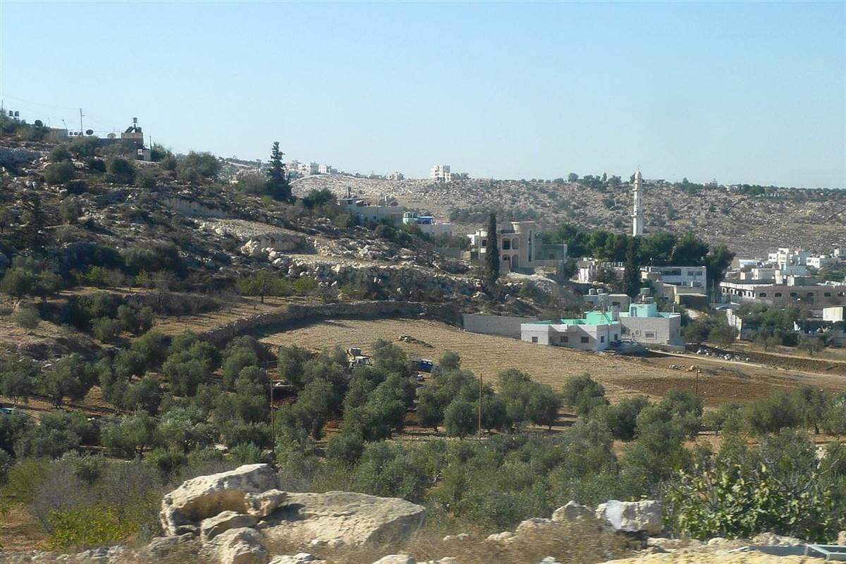 Olive fields around Deir Samit