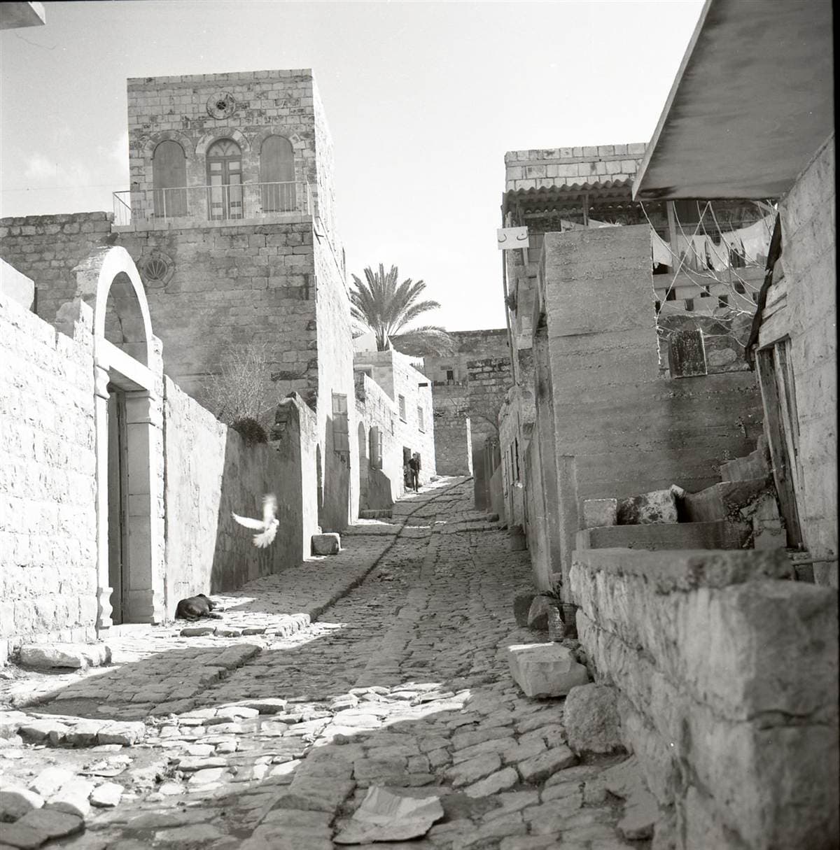 An old street in Kufr Yasif