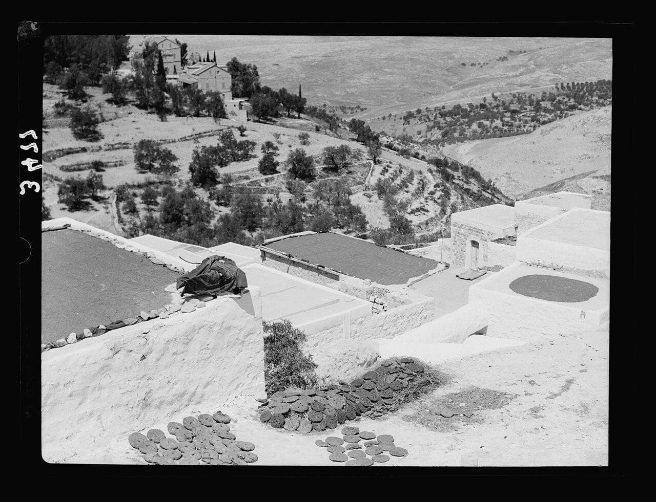 Wheat drying on the flat rooftops of Safad, 1920