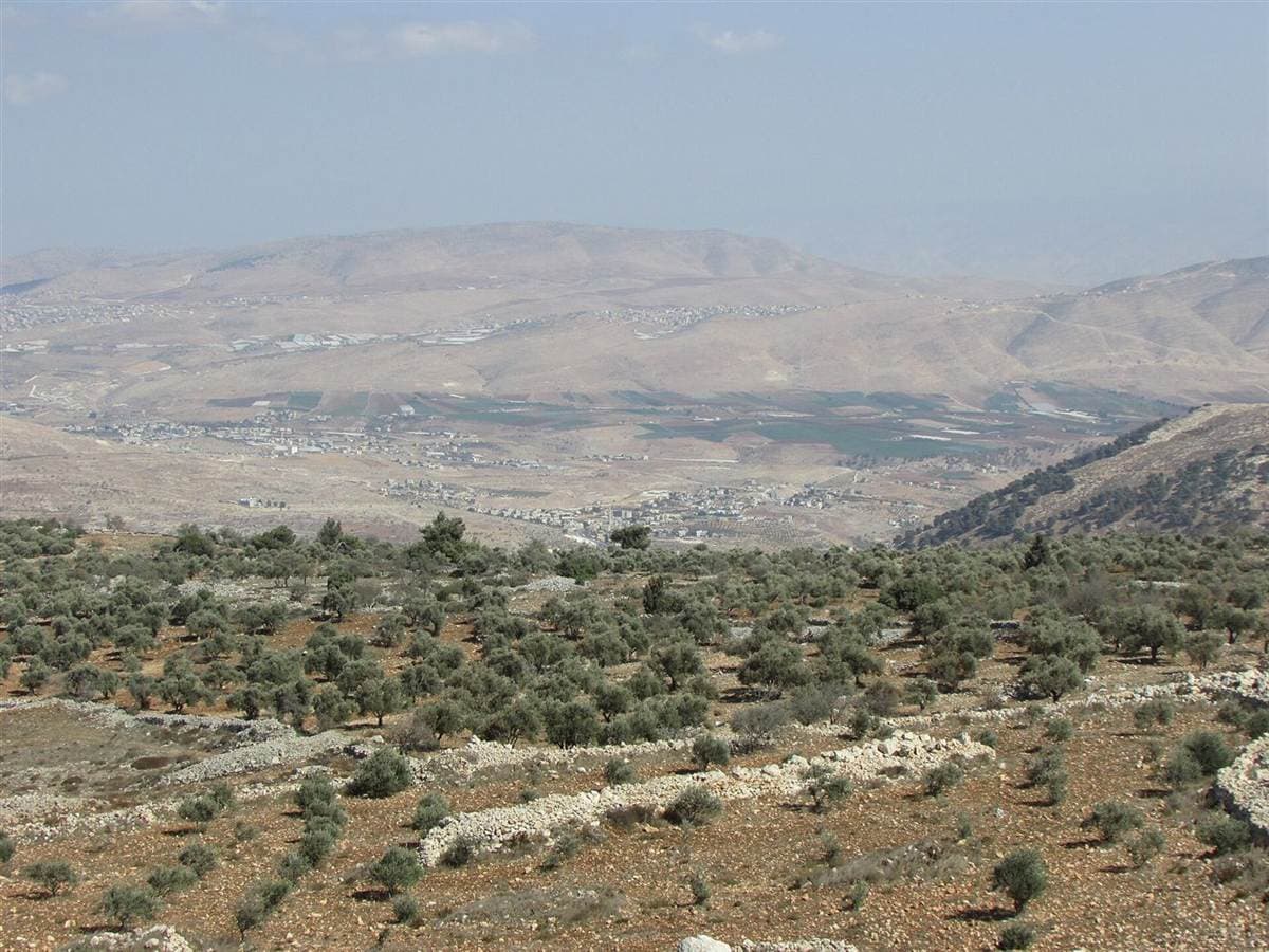 The Jordan Valley seen from Tammun