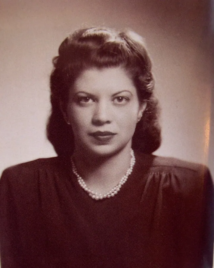 Portrait of Serene Husseini Shahid